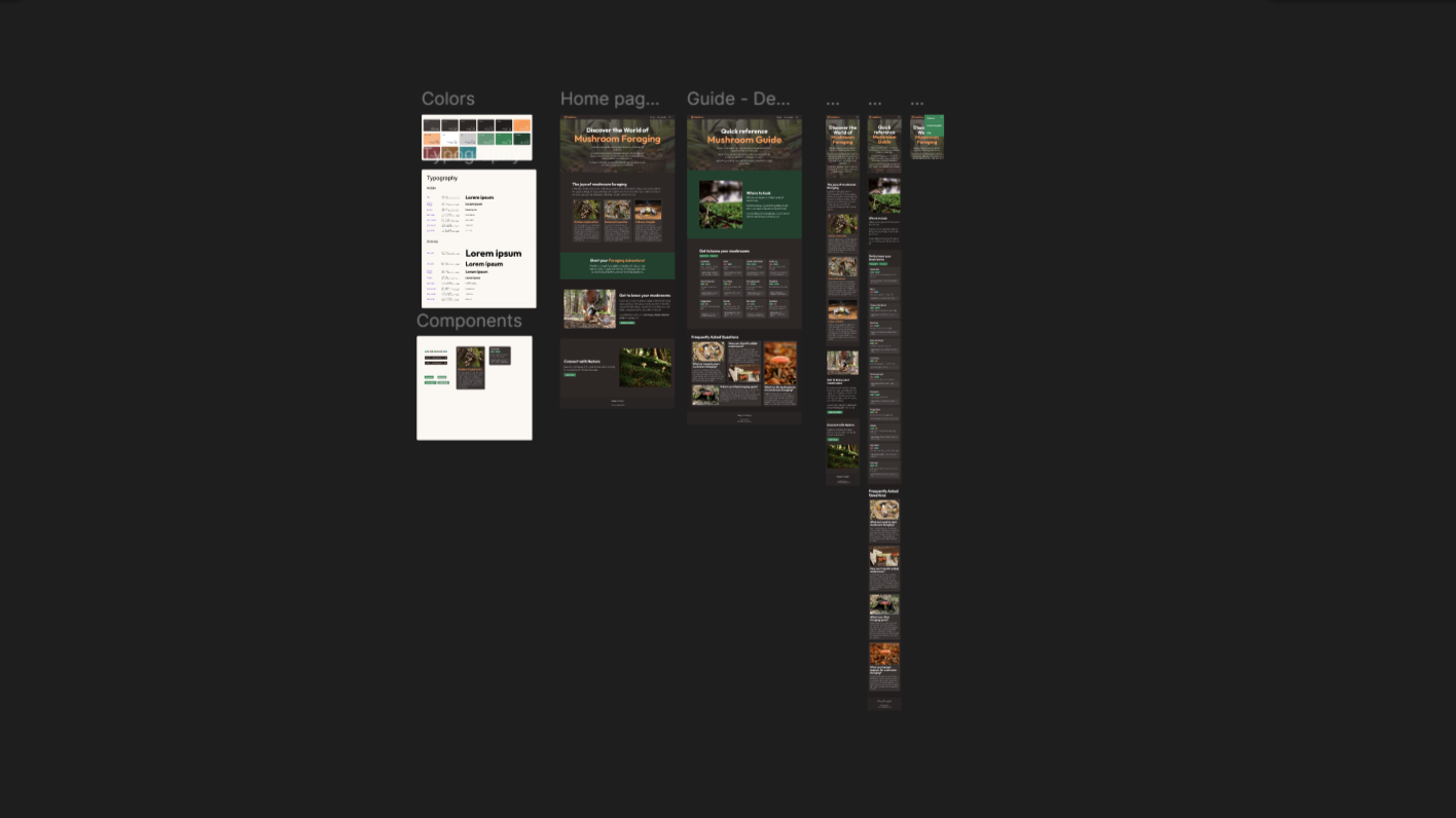 Design Showcase